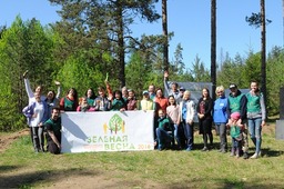В рамках субботника "Зеленая волна" добровольцы высадили 5 000 саженцев сосны на территории Ломоносовского лесничества