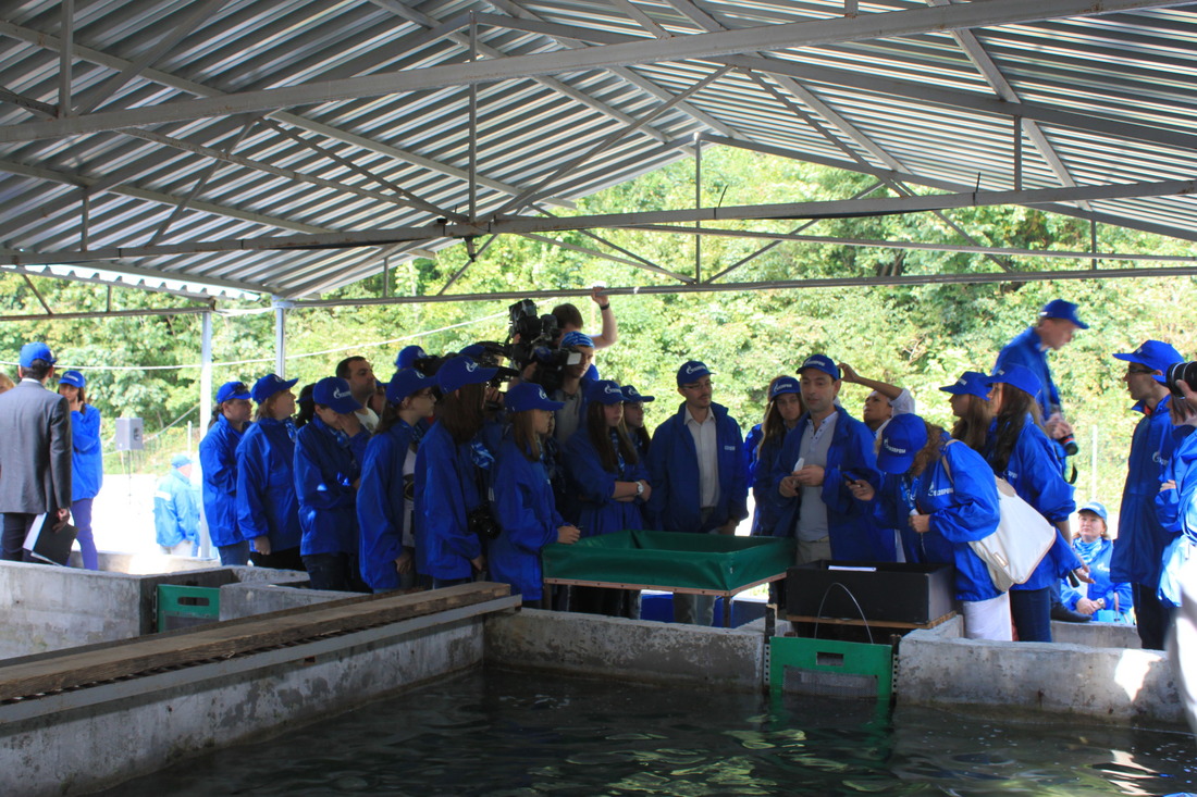 Экскурсию проводит Артур Такнеджян — главный специалист предприятия по воспроизводству водных биоресурсов
